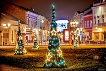 Christmas in Novi Sad Serbia  photo by Aleksandar Milutinovi