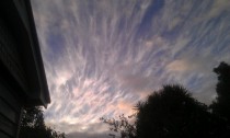 Cirrus Fibratus clouds on a New Zealand summer evening 