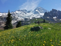 Classic shot of Mt Ranier from Emerald Ridge on the Wonderland Trail You gotta be there to really experience it 