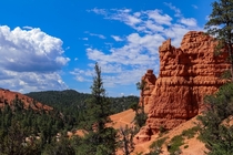 Clear Blue Skies in Red Canyon 