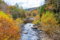 Clear Creek fall colors at Obed Wild and Scenic River Tennessee 