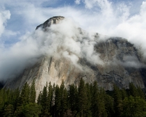 clearing morning fog in front of El Capitan in Yosemite National Park California 