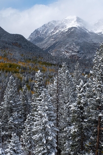 Clearing winter storm in Rocky Mountain National Park 