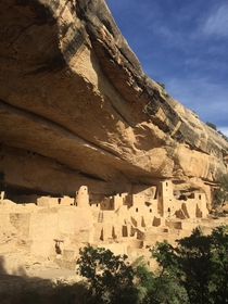 Cliff Palace - Mesa Verde National Park  iPhone 