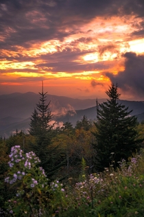 Clingmans Dome - Great Smoky Mountains 