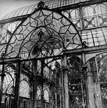 Close-up of old abandoned glasshouse with broken panes of glass and ornamental iron wrought-work Florence Italy   