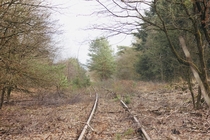 Closed th century train track slowly taken back by nature - National park The Meinweg The Netherlands