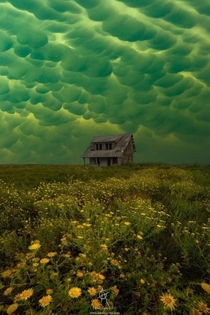 Clouds over an abandoned house in the middle of a flower field by uUninstall_Fetus