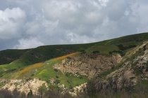 Cloudy Day in Chino Hills State Park California 