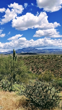 Cloudy Day -Taken on the Butcher Jones trail in Arizona 