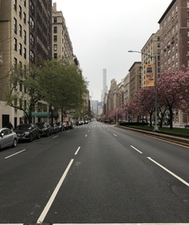 Cnr th amp Park Ave New York City Rush hour in the depth of COVID-
