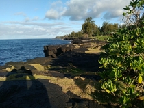 Coastline Big Island Hawaii South of Hilo  x 