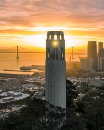 Coit Tower San Francisco 