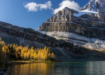 Cold Fall Colors in the Skoki Valley Alberta 