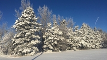 Cold Minnesota Morning 