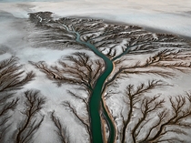 Colorado River Delta Baja Mexico  by Edward Burtynsky 