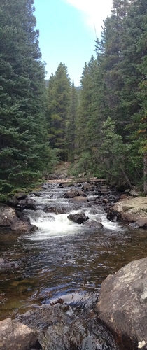 Colorado stream near Nederland 