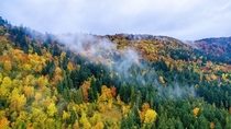 Colors of autumn Carpathians 
