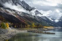 Colourful Fall near Jasper Alberta 