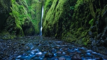 Columbia River Gorge National Scenic Area - Oneonta Gorge Trail x 