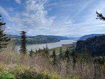 Columbia River Gorge Oregon   x 