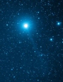 Comet C Y Iwamoto  Feb