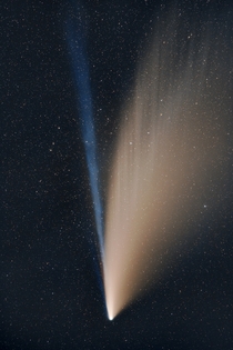 Comet NEOWISE shortly before setting under the horizon in Eldorado National Forest California 