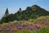 Cone Peak Trail with a view of Iron Mountain west side of the Cascades in Oregon 