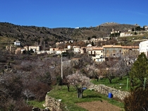 Corscia Corsica 