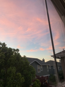 Cotton Candy skies in Bay Area