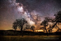 Cottonwoods and Milky Way - South Dakota 