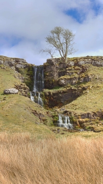 Cow Gill Falls above Cray North Yorkshire 