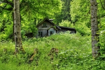 Cozy Cottage nestled and hidden away deep in the lush forests of Austria Photo by Bernhard Siegl 