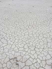 Cracked ground at the Bonneville Salt Flats 