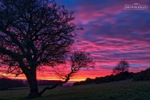 Cracker of a sunset at Pleasington Blackburn Lancashire UK 