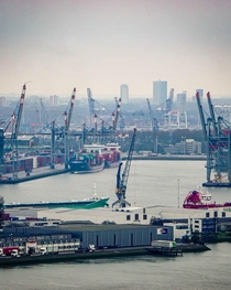 Cranes at work in the Port of Rotterdam 