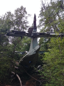 Crashed plane from WW near Tofino BC Sadly much of it is covered in graffiti