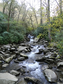 Creek in the Great Smoky Mountains 
