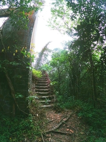 Creepy abandoned stairs being reclaimed by the jungle in Cambodia 