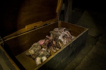 Creepy Dolls Found in an Abandoned Cabin 