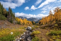 Crisp Autumn in the Canadian Rockies  IG zekernaut