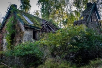 Crumbling House in the Woods 