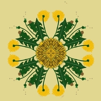 Dandelion  Kind people asked to see more of my stylised botanical designs