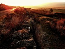 Dartmoor Sunrise 