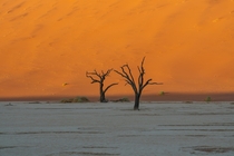Dawn at Deadvlei Namibia 