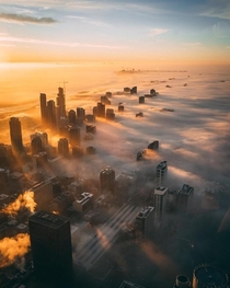 Dawn in foggy Chicago