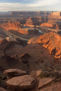 Dead Horse Point SP near Moab Utah not as famous as some of the other parks nearby but my God it was spectacular 