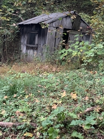 Dead Shed in the Deep Woods