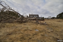 Dead Tree Out Front of an Abandoned Dream Home in Ontario Canada 