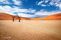 Dead Valley in Namibia Africa Photo by Jarrod Castaing x-post from rDesertPorn 
